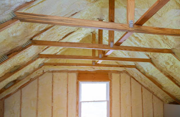 Best Insulation for New Construction  in Flora, MS