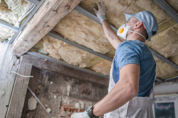 Best Local Insulation Services  in Flora, MS
