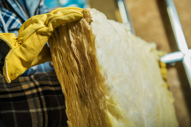 Best Insulation Inspection Services  in Flora, MS