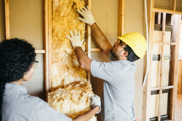 Best Insulation Inspection Services  in Flora, MS