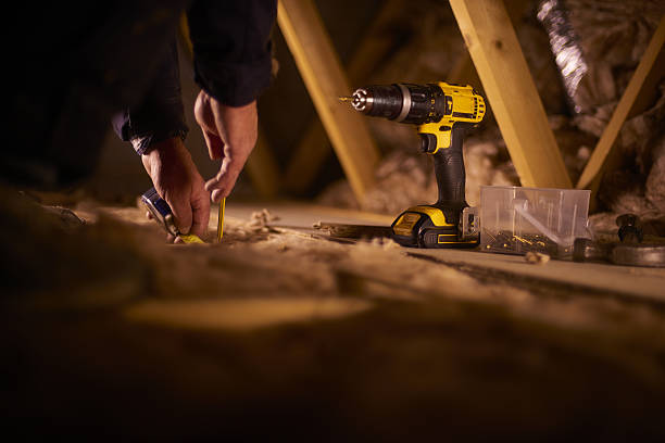 Best Insulation Removal Services  in Flora, MS